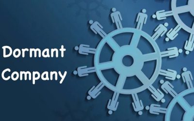 Dormant Companies Guide For Beginners