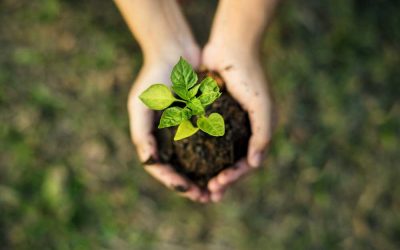 Your Company Formations Wins Bronze Award for Its Commitment to Funding Global Climate Action Initiatives