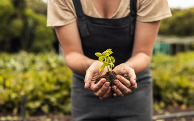 Join Your Company Formations: Fight Climate Change!